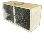 Purchasing 2017 Package Bees